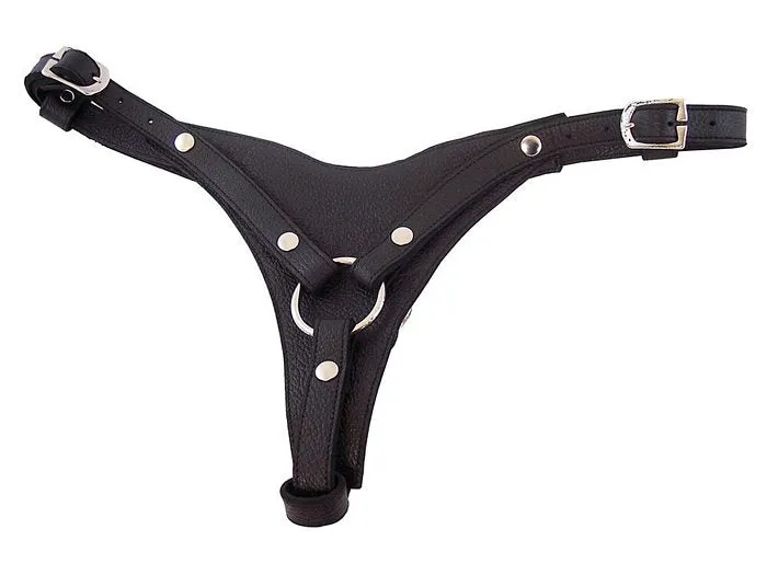 Female Dildo Harness Interchanging O-Ring Comfortable Harnesses Kit